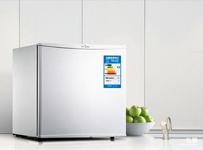 有了神奇的小家電 即便在宿舍也能做出滿(mǎn)漢全席