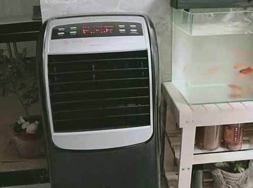 誰(shuí)買誰(shuí)后悔的6個(gè)家電,放在家里吃灰又占地方,送親戚朋友都不要